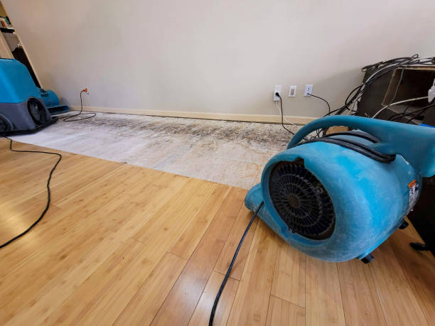 Professional Basement Flood Cleanup technician working in Ellwood City, PA